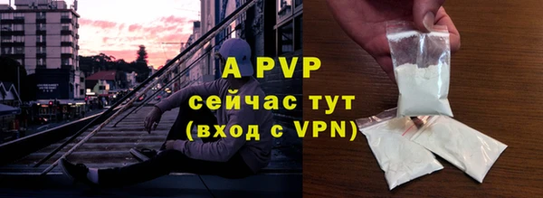 a pvp Ельня