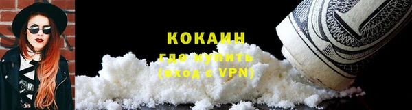 тгк Елизово
