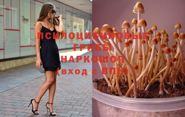 прущий лед Елабуга