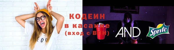 a pvp Ельня