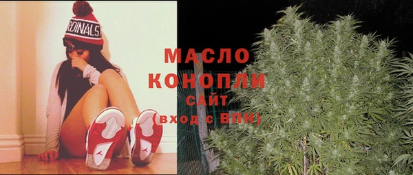 тгк Елизово