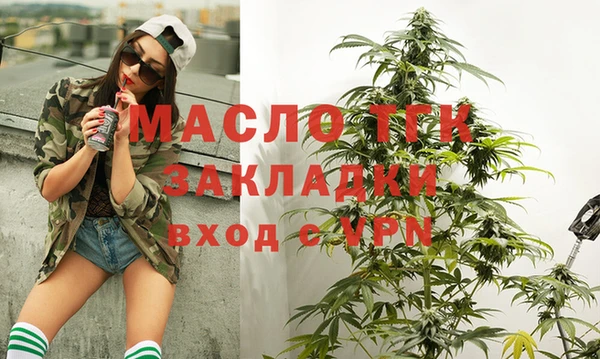 тгк Елизово