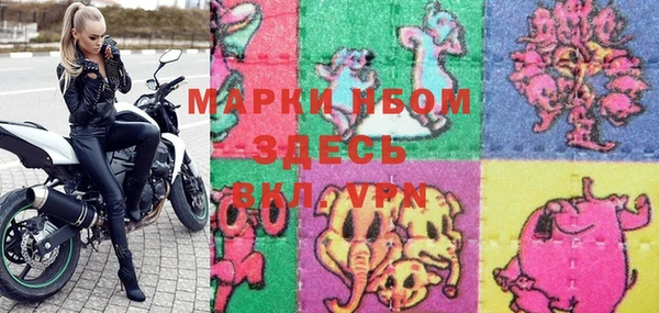 a pvp Ельня