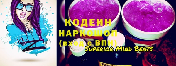 a pvp Ельня